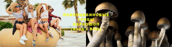 мет Аркадак